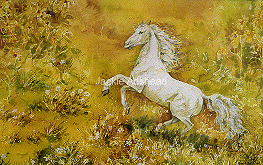 White-Horse