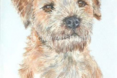 Alfie