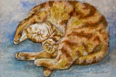 Leo
