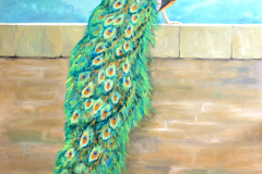 Peacock of Askew Hill