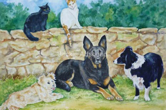 Sadie-Kim-Mollie-Bramble-and-Jack-