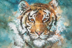 The-tiger-within