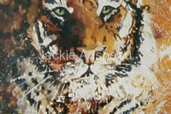 Tiger-Bright