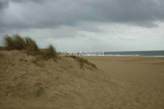 French-beach-dunes-demo