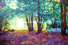 The-way-through-the-woods